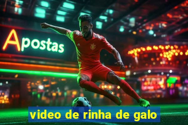 video de rinha de galo